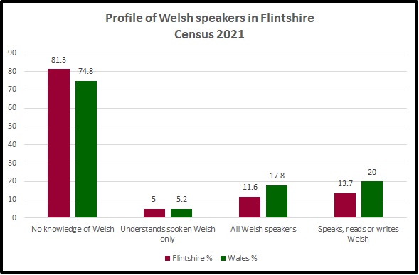 2021 Census Welsh Speaker Profile